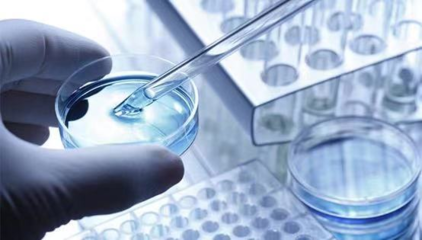 擎科生物 深耕基因合成全產業鏈，賦能生物科技研發創新