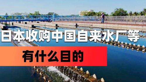 外資收購(gòu)中國(guó)關(guān)鍵行業(yè)背后的戰(zhàn)略考量 以日資進(jìn)入水務(wù)、中藥及鹽業(yè)為例